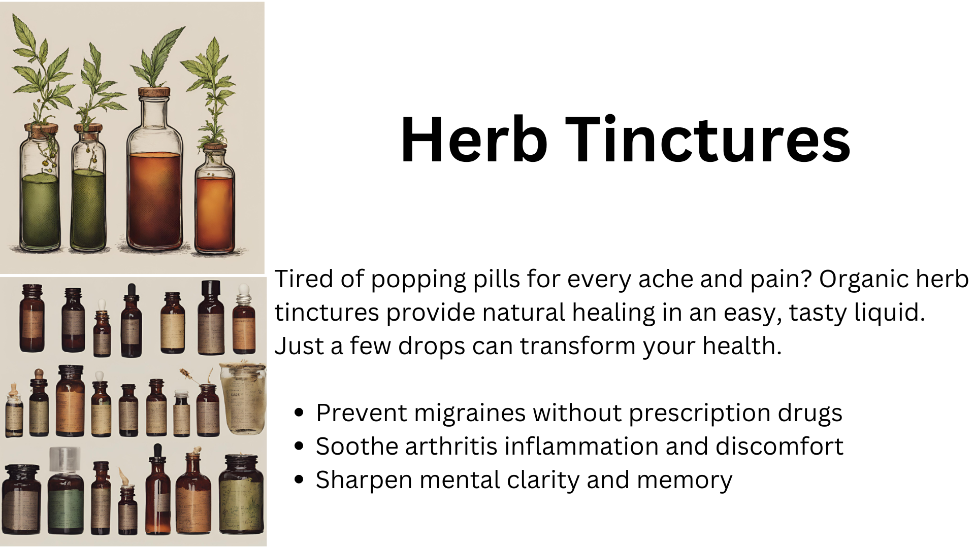 Herb tinctures 1st slide